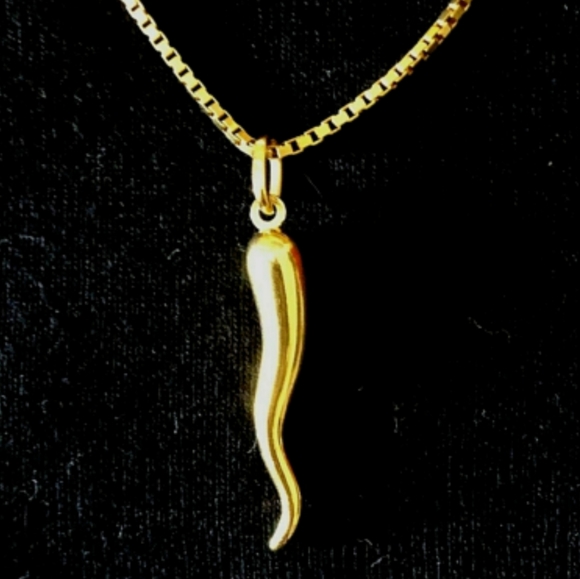 14k Italian Horn Pendant with 14K Gold Chain New - Picture 1 of 4